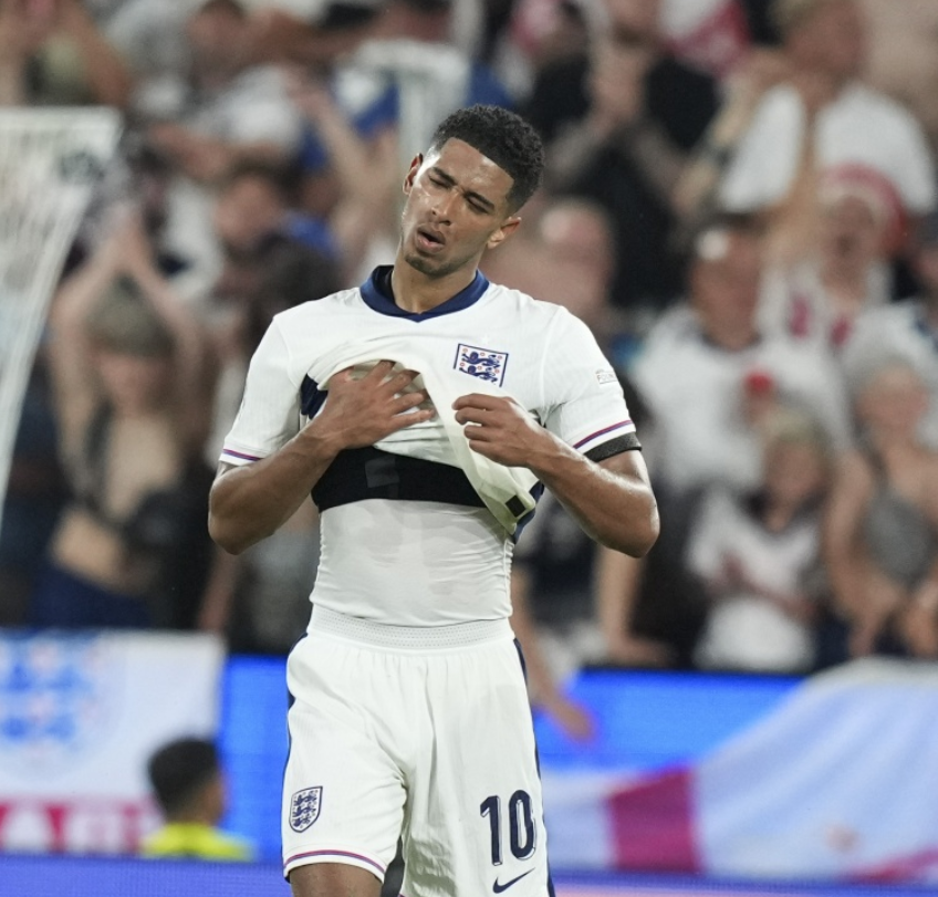 走向冠军宝 走向冠军宝